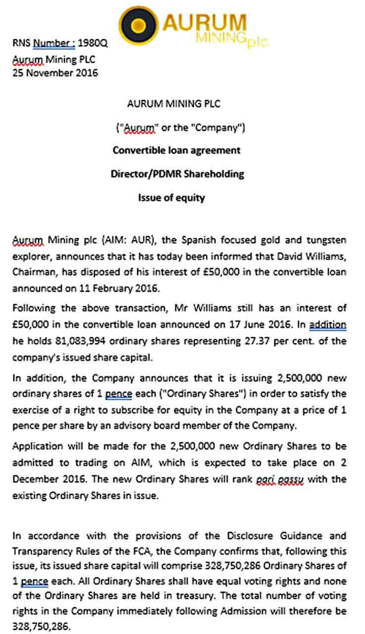Sample Convertible Agreement for Directors
