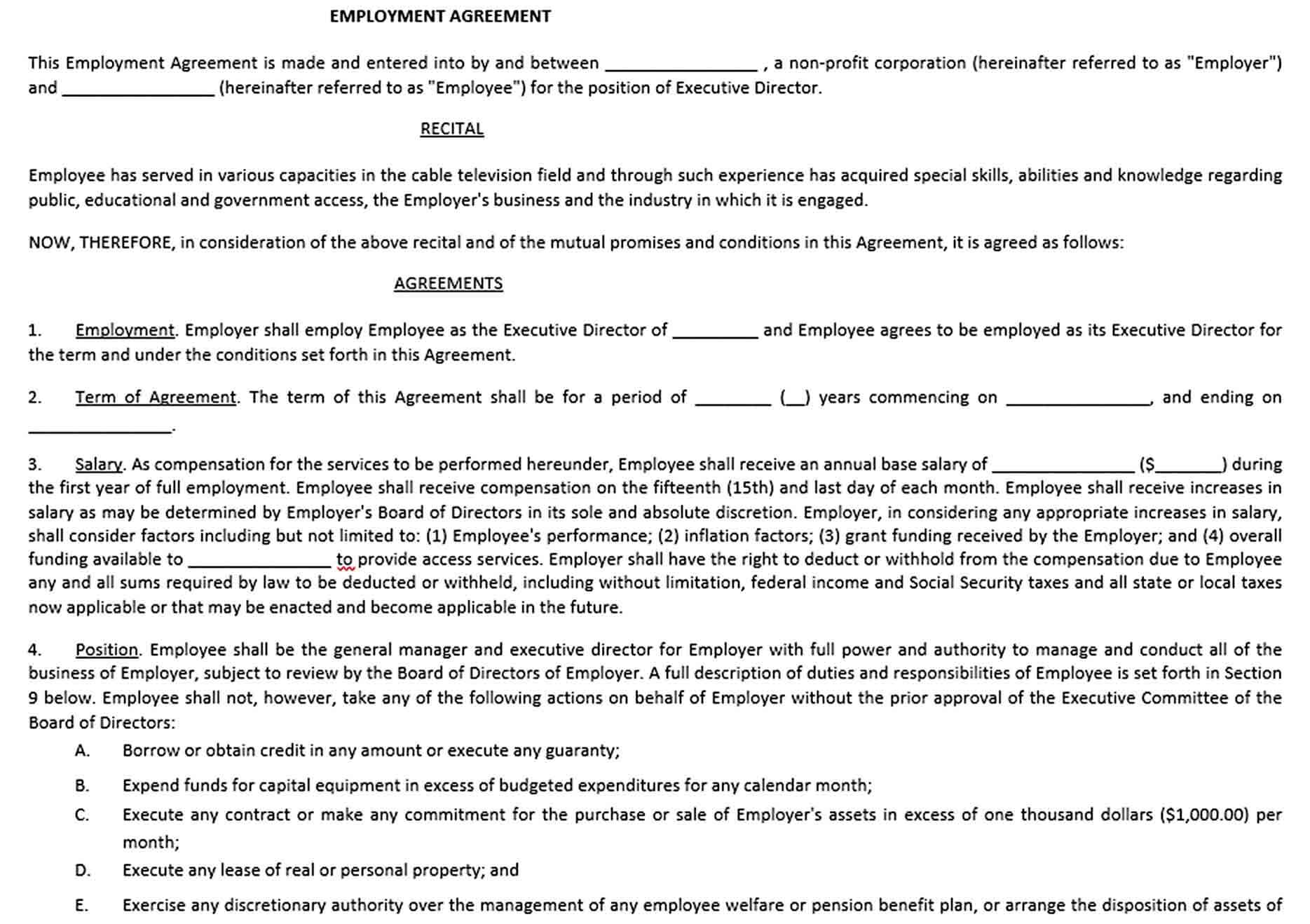 Sample Executive Director Employee Agreement Form