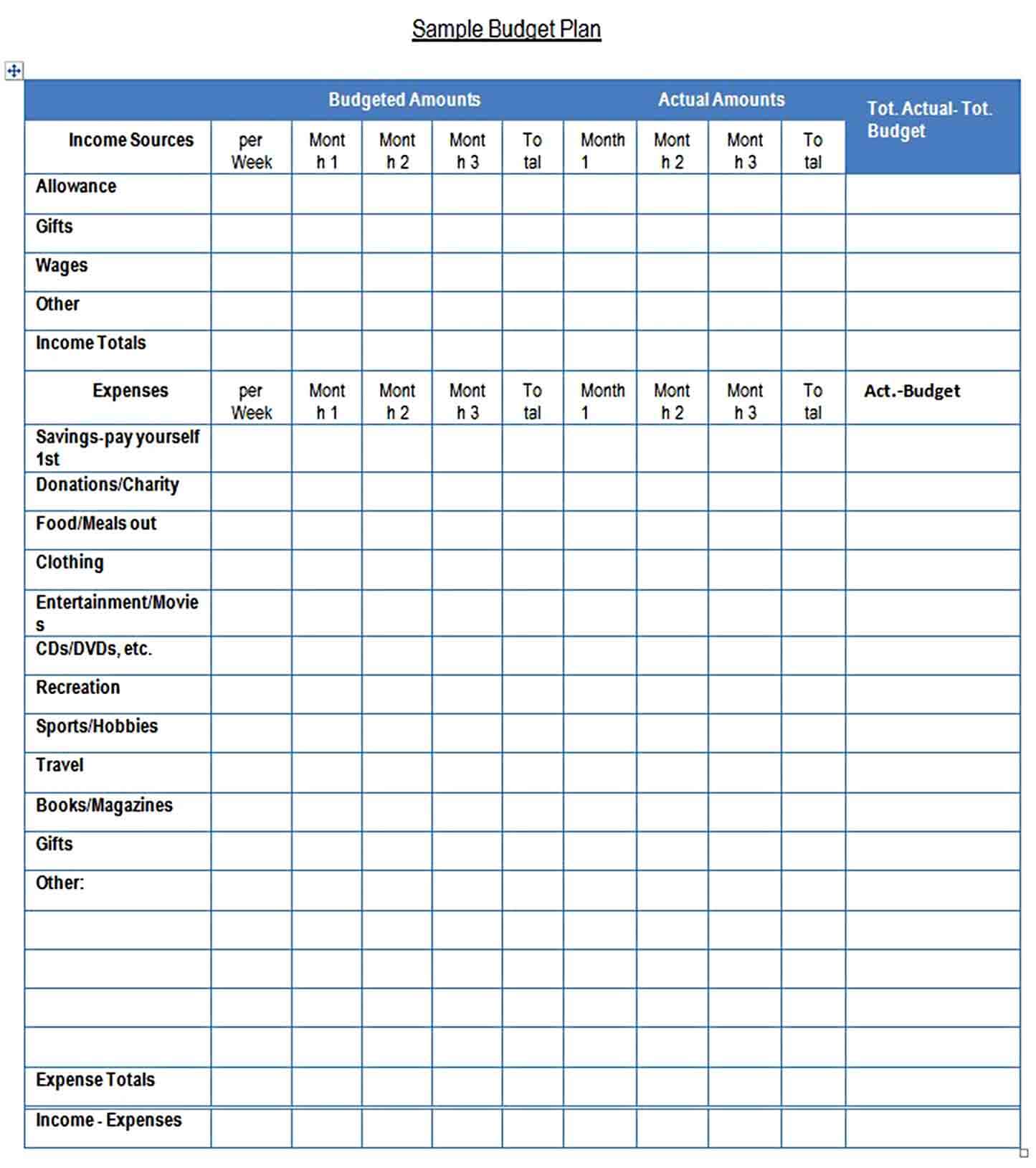 Blank Budget Tracking Template PDF File