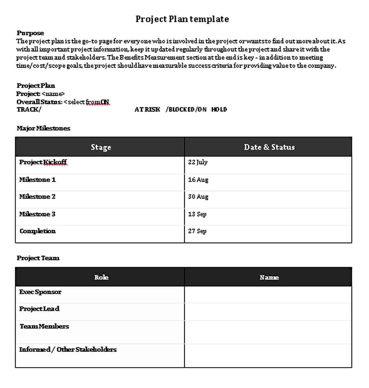 Free Download Project Schedule Plan Template