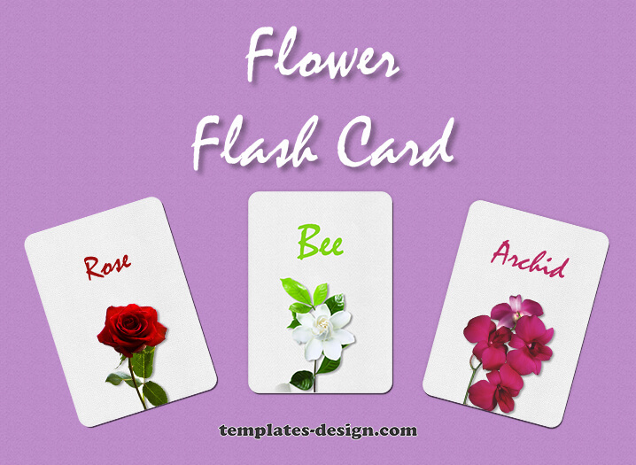 Flash Card customizable psd design templates