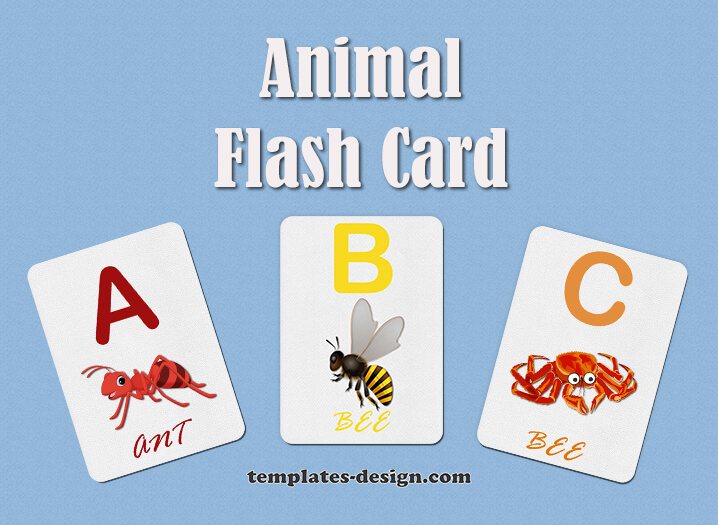 Flash Card psd templates