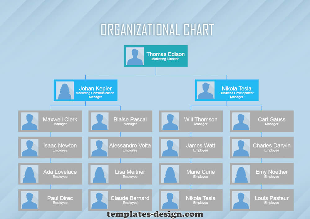 organizational chart free download psd