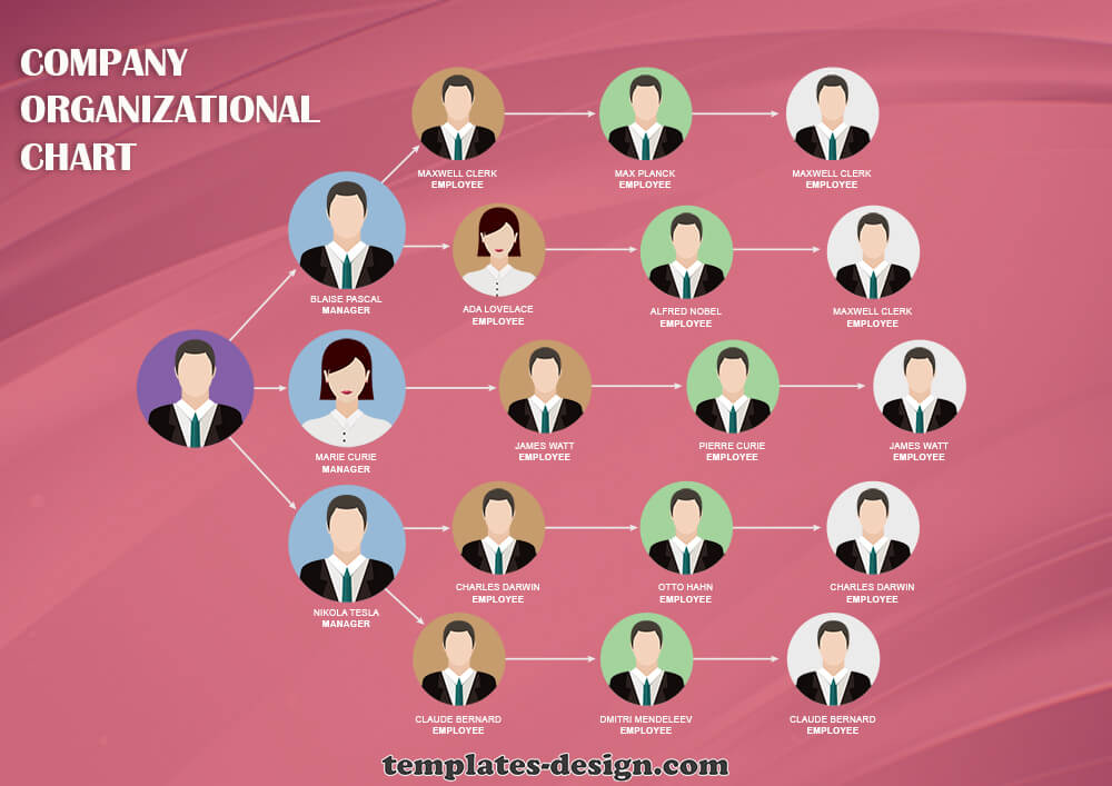 organizational chart free psd template