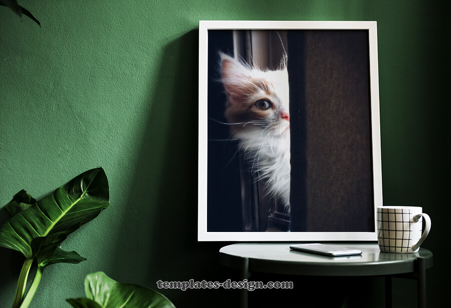 picture frame in photoshop
