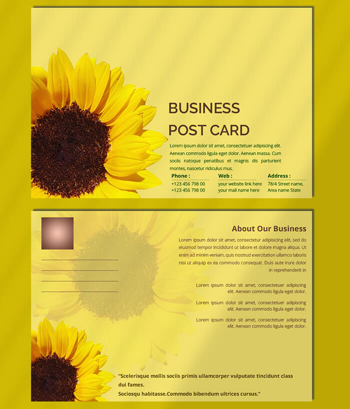 8.5 x 5.5 postcard template PSD idea Design Sample