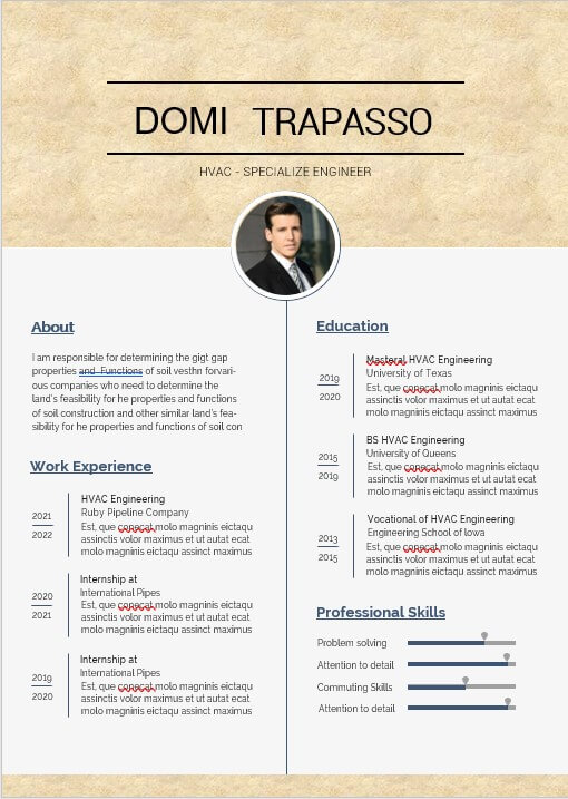 page resume template 3
