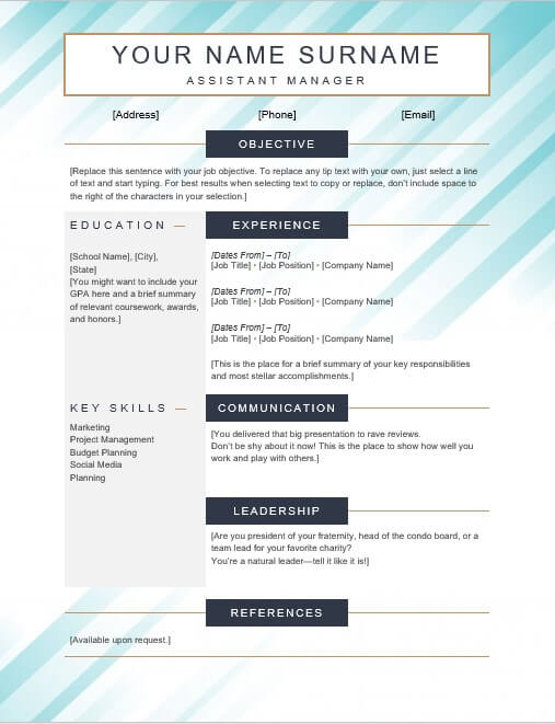 page resume template 5